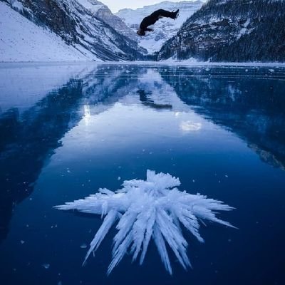 AhamathuAzkhan's profile picture. 