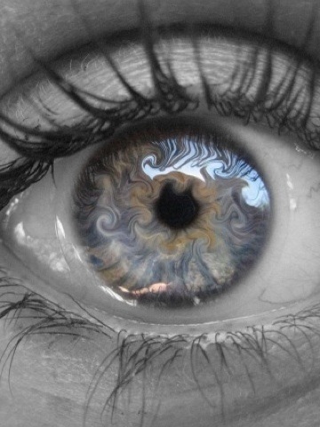 M_E_Stella's profile picture. ex grafico illustratore finito in cucina per passione e necessità ;)