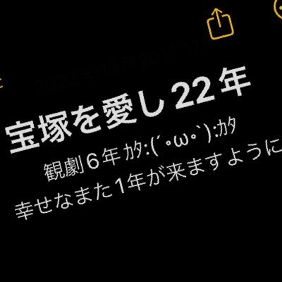 ただ宝塚を愛する女    宝塚なしでは生きていけない女    の末路   22年