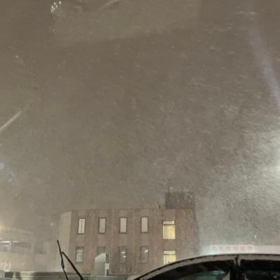 ohytrhy's profile picture. 20サイ