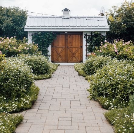 Plant_Gardening's profile picture. 🌱Planting and gardening Idea Zone🪴
🌳Get Gardening Apparel🌾
🌿Sharing daily garden content🏞️