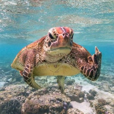 瀬戸大橋~来島海峡でショボショボ釣ってます♪
タイラバと一つテンヤに鯛サビキ
真鯛の引きにハマってます♪♪
※ 無言フォローご勘弁下さい┏○))