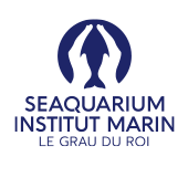 Le Seaquarium (@leseaquarium) 's Twitter Profile