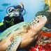 Ian (@diversivediver) Twitter profile photo Ian (@diversivediver) Twitter profile photo