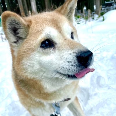 むーこちゃん ෆ 𝓜𝓸𝓬𝓸⋆ིྀ.‎˖٭ モコちゃん❤️ location