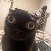 mmk (@mmk85220820) 's Twitter Profile