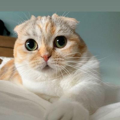 Christyna_'s profile picture. Grab the popcorn!