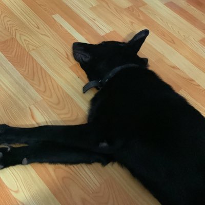 sethleonghere's profile picture. 21☀