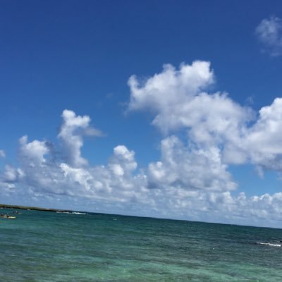 El7Wn's profile picture. 英語/ドイツ語/心理学/世界史/ONE PIECE/ヒロアカ/謎解き