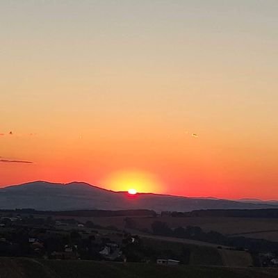 jarmila22's profile picture. 