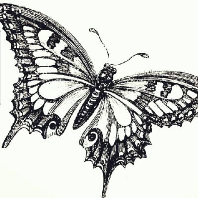 NatashaHatesDem's profile picture. Here to share opinions about a deteriorating society only!