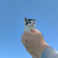 ioNi (Commissions open) (@ioni_prod) 's Twitter Profile Photo ioNi (Commissions open) (@ioni_prod) 's Twitter Profile Photo