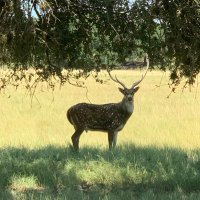 digdug (@_digdug_) 's Twitter Profile