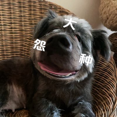 sixpoints_mages's profile picture. Zssssm