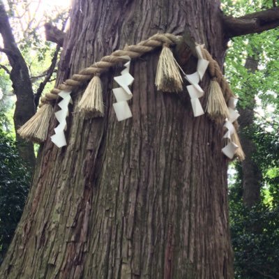 eye808's profile picture. 閲覧用アカウント 世界を見渡すBigなEye