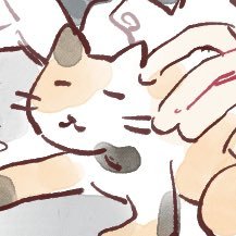 뽀기 BBOGYさんのプロフィール画像