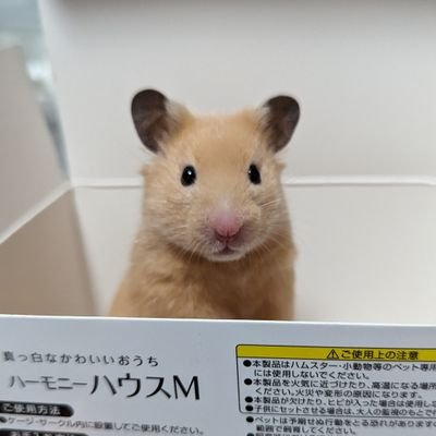 14aIiIqFkfRbyqb's profile picture. 🐹スフレ♂🎂2022年8月中旬🐹メレンゲ♀🎂2022年11月上旬（キンクマ）
🐹シュクル♂🌈（ジャンガリアン）🐹2023年3月28日キンクマ♂6♀2🎂

動物全般大好きです♬
可愛い動物が見たいので、動物飼いの皆様フォローいたします✨
仲良くなりたいですなどのしつこいDMはブロック