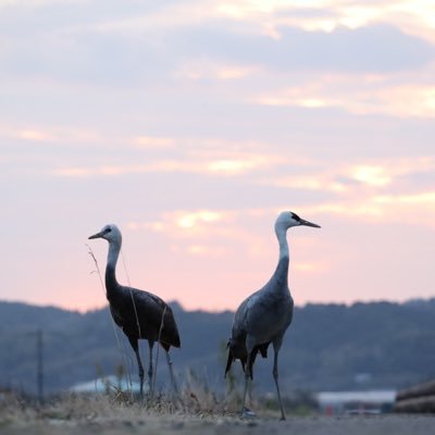 EOS R5 Mark II/EOS R6 Mark II 写真投稿アカウント 写真の利用はモデルさん事務所関係者様のみ。その他の無断使用厳禁。 無言フォロー失礼します。サブ: @ma122_sub