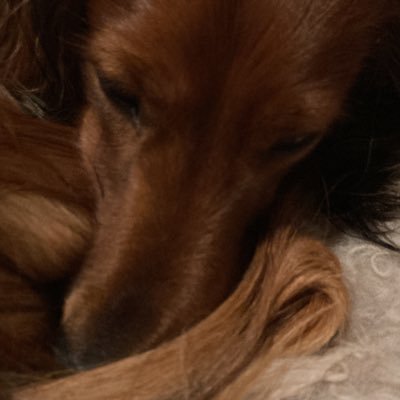 bananatureb's profile picture. CSGO Player from Sweden