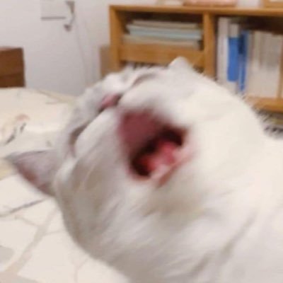 krizirx's profile picture. TH/EN | GL | Genshin | Vtuber | Bang Dream! | Raiden pls come home | ps. 🔞 account