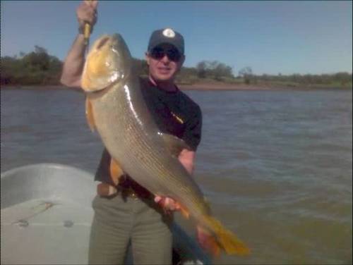 roberto0019's profile picture. 