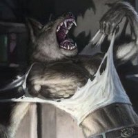 el is so normal (@saedole) 's Twitter Profile Photo el is so normal (@saedole) 's Twitter Profile Photo