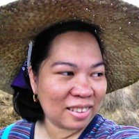 Karen S. Shih(@karensshih) 's Twitter Profileg