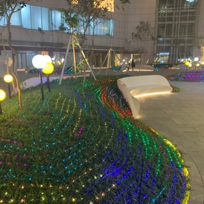 qiubaihan5's profile picture. 