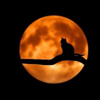 bitter (@bitter92493969) 's Twitter Profile
