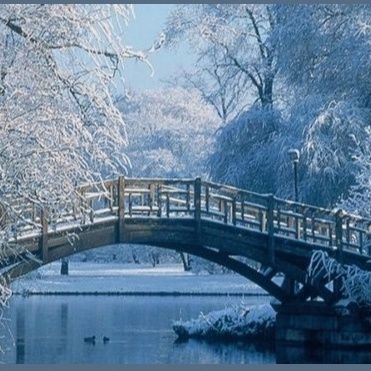 Ochua1's profile picture. 