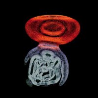 surferdrew.tez (🐥,🪱, 🌿) (@surferdrew) 's Twitter Profile