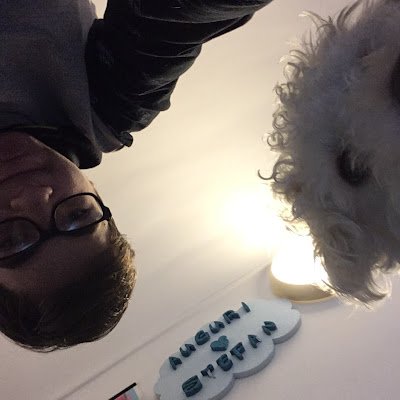 StefanBoloca's profile picture. 