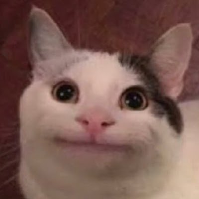 RRfm513's profile picture. 