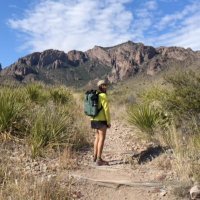 Amber Gonzalez (@silent_sipper) 's Twitter Profile