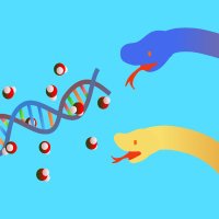 PyMM LAB (@pymm_lab) 's Twitter Profile Photo