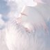 白日ナタ (@shirakusa_nata) Twitter profile photo 白日ナタ (@shirakusa_nata) Twitter profile photo