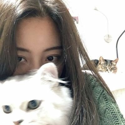 ssykies's profile picture. 