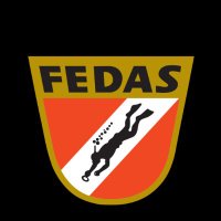 FEDAS(@FEDAS_oficial) 's Twitter Profile Photo
