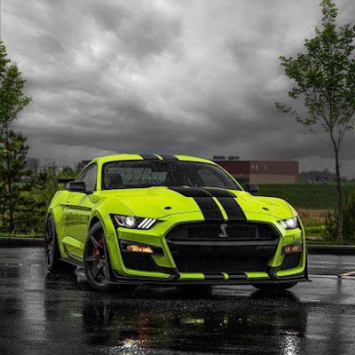 SachinSamAntony's profile picture. 