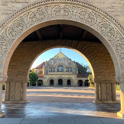 Professor of Bioengineering, Stanford University