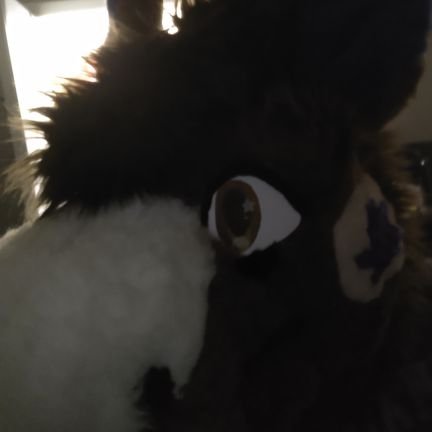 BourneYoutube's profile picture. 31 yo