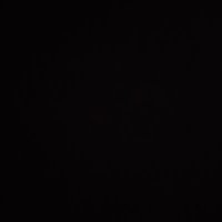 caneresra42 (@caneresra42) Twitter profile photo