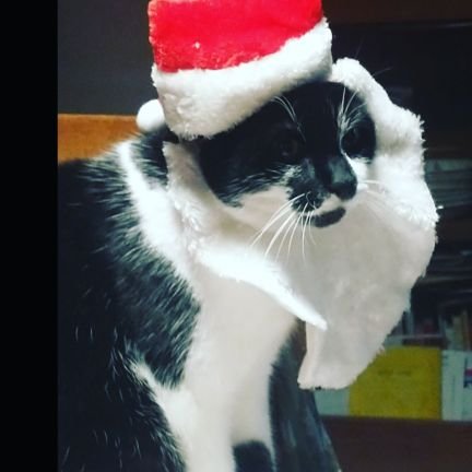 CliveBentley's profile picture. Mental Health Practitioner
@compassclMHST
Changing Lives providing Mental Health support for children in Derby & Derbyshire