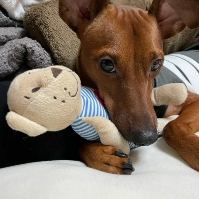 cbrzero's profile picture. 