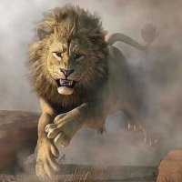 Aslan Bey 🦁 (@aslan_bey_4) 's Twitter Profile