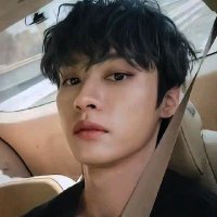 Lee Know (@minhoe) 's Twitter Profile