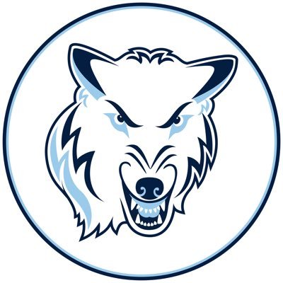 nutimberwolves Profile Picture