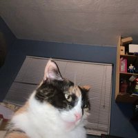 Local Hero V0t3 L0k0 2024 (@redwavvy) 's Twitter Profile