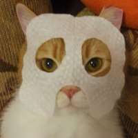 어쩔베베 (@uzzulbe) 's Twitter Profile