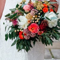 Linda C (@bloomstruck) 's Twitter Profile